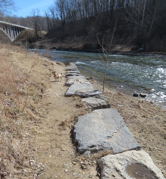 Daphne with big stones and the river