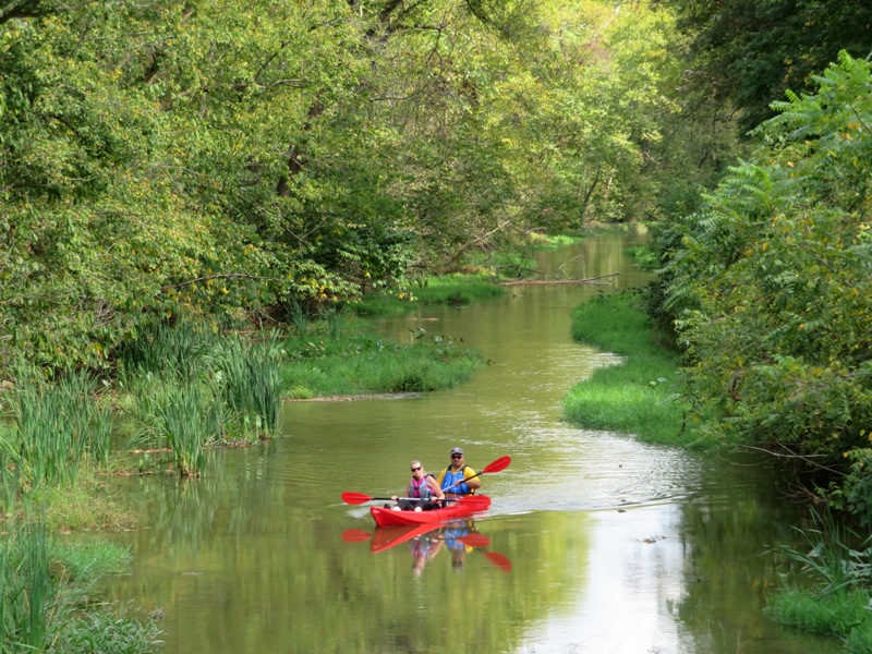 Two kayakers paddling in the C&O Canal