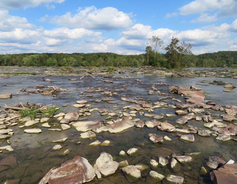 Shallow, rocky, rubble-filled section of the river