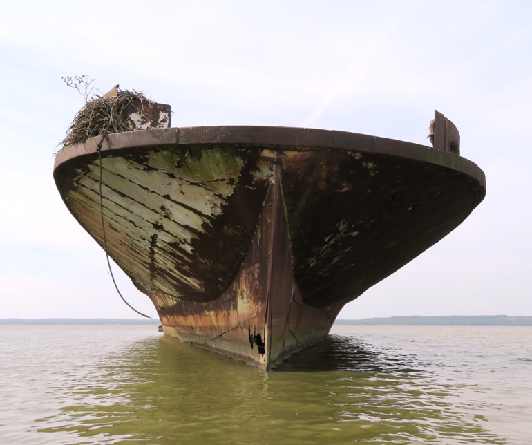 Front view showing hole on the starboard side just above the waterline