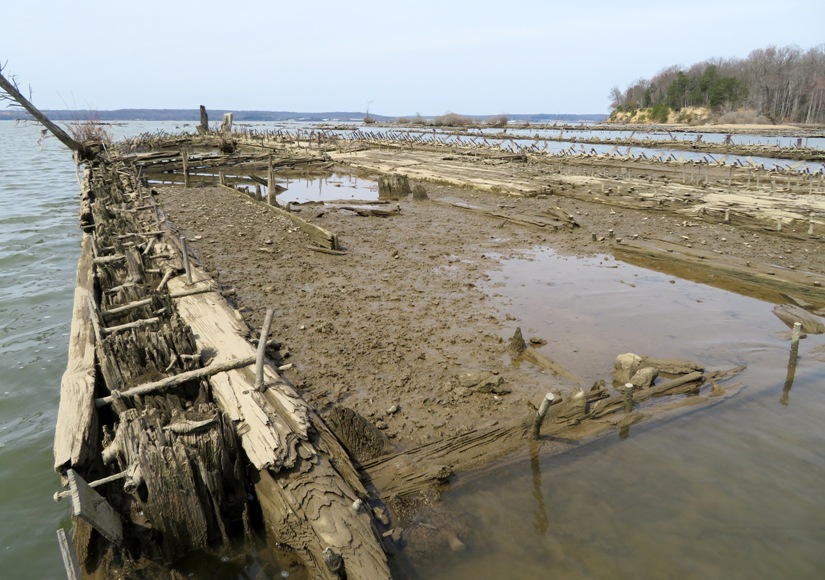 Muddy interior of wreck
