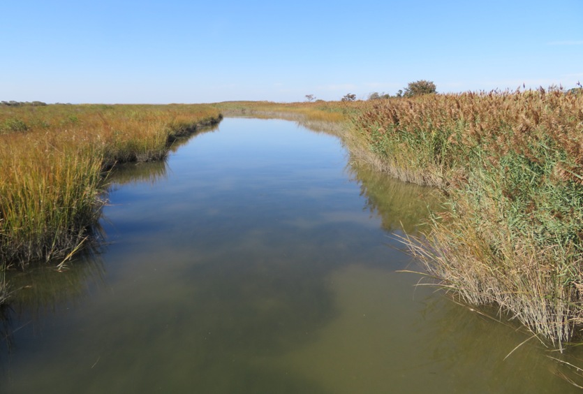 Grass-lined waterway at Anne Arundel Island