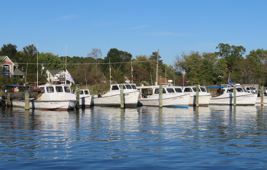 Watermen boats moored