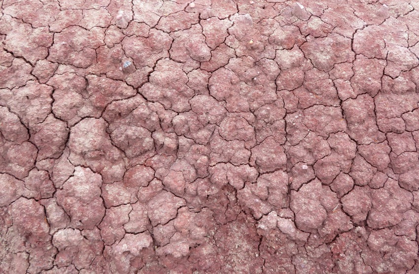 Cracked ground