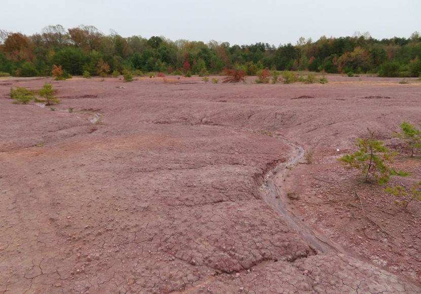Mostly barren Patuxent Sand Esker