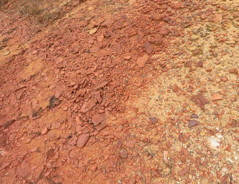 Reddish rocks at the Patuxent Sand Esker