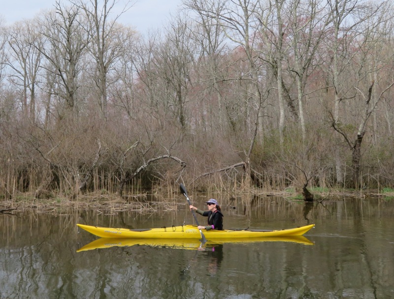 Sara paddling her Necky Chatham 15 sea kayak with her carbon fiber Epic wing paddle