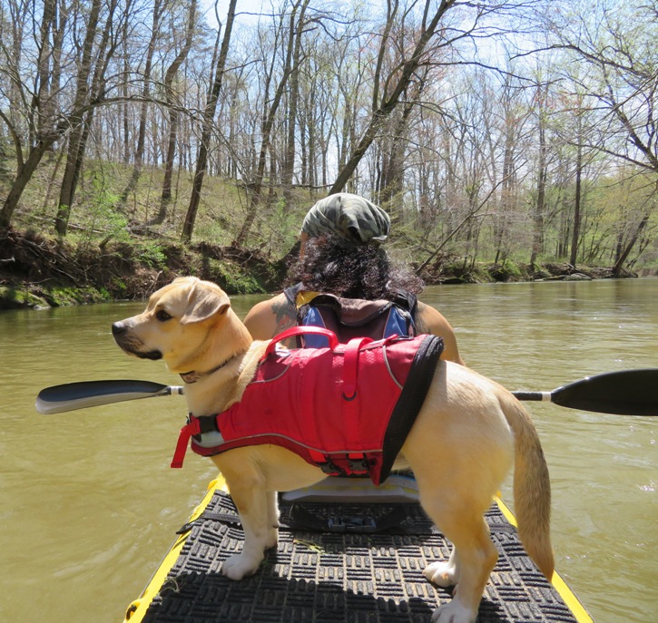 Daphne standing on kayak