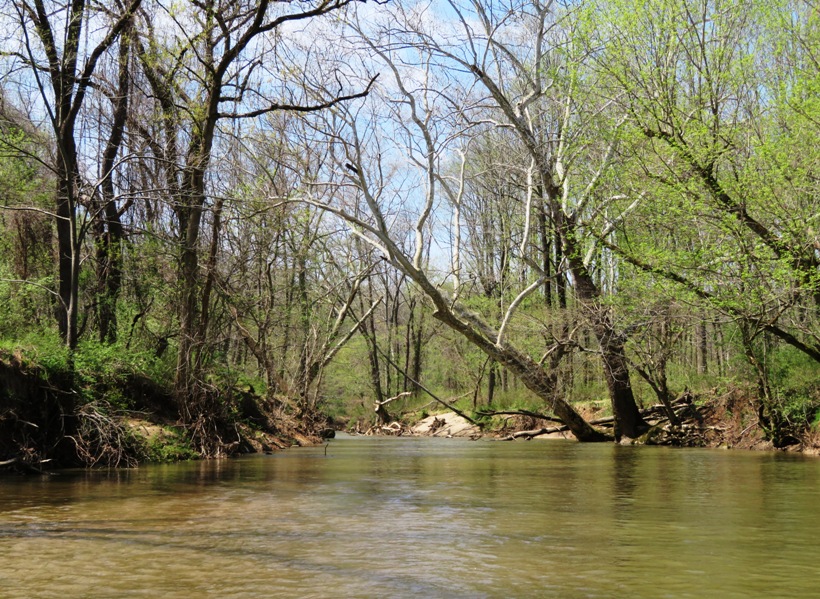 More trees leaning over the water