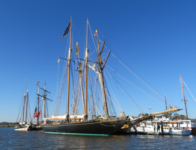 Two tall ships moored at the pier with others behind