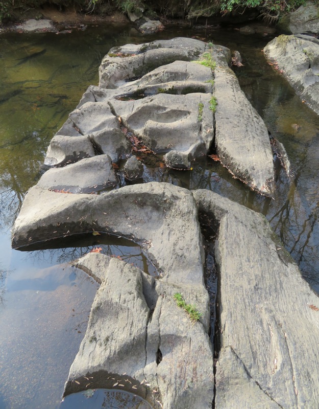 Big stones in the water with interesting patterns