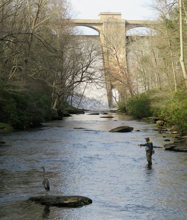 Fisherman, dam, and great blue heron