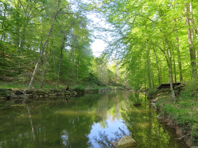 Shaded, serene river view