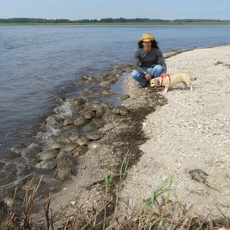 Daphne and I with horseshoe crabs