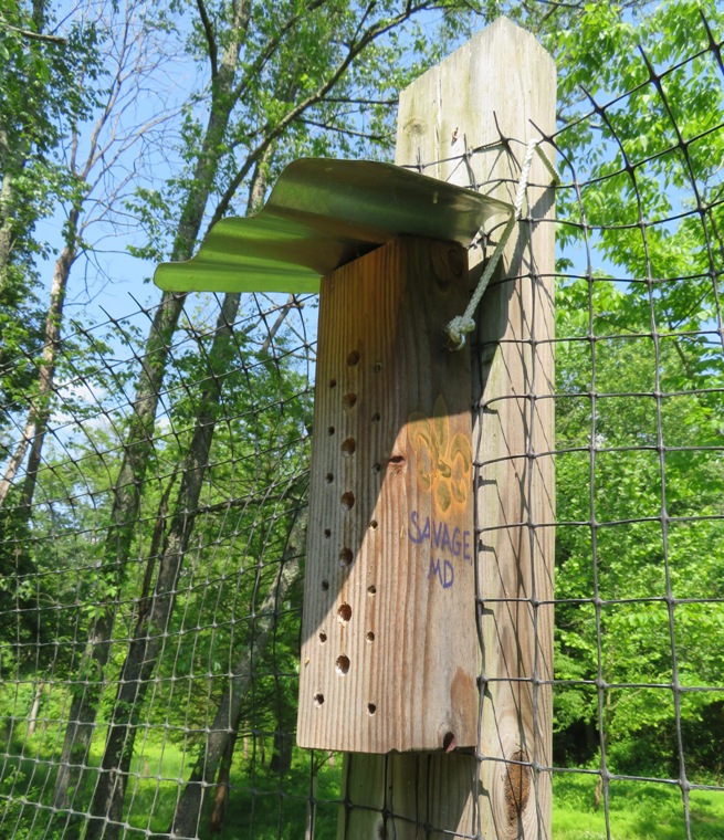 Bee block with 'Savage, MD' written on the side