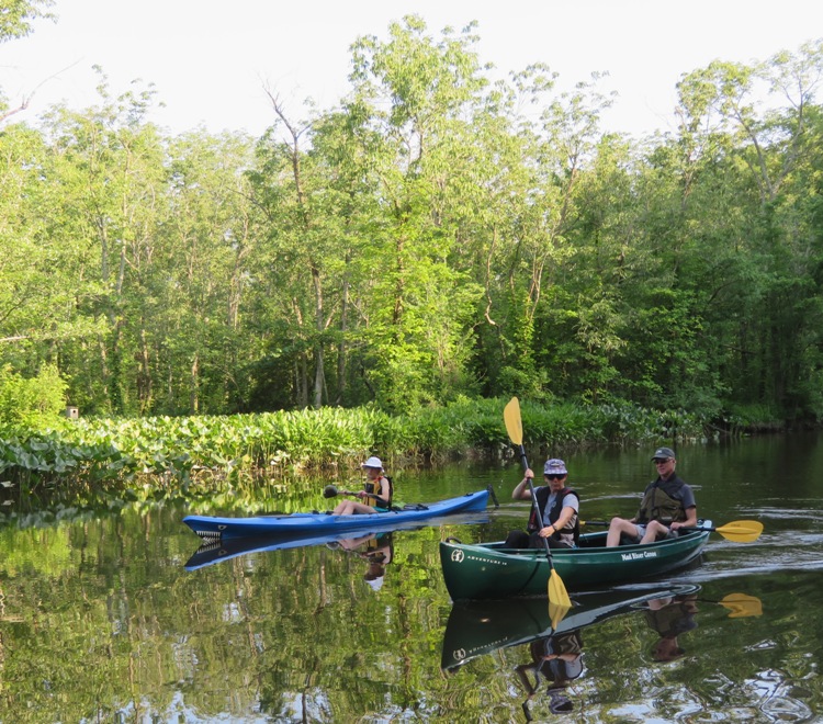 Norma, Sara, and Mike paddling in a wooded area
