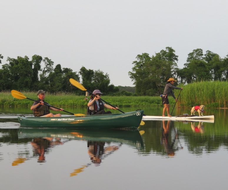 Sara, Mike, Daphne, and me paddling