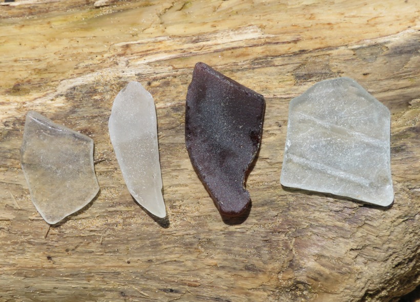 Four pieces of beach glass on log