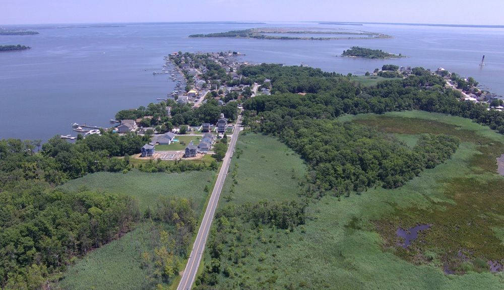 Looking northeast above Black Marsh towards Hart-Miller Island