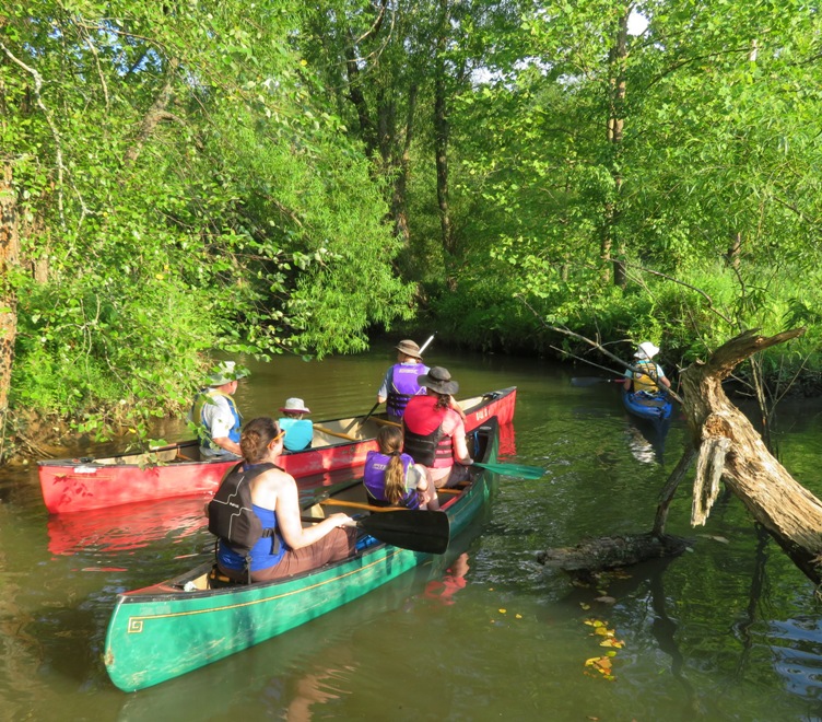 Paddlers on water surrounded by trees