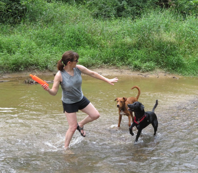 Sara winding up to throw a dog toy