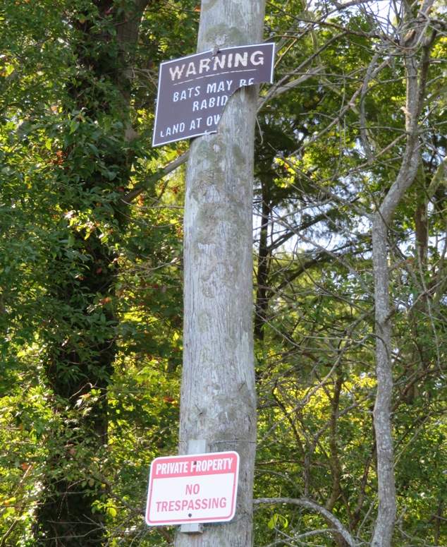 Sign on tree
