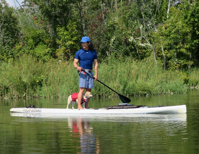 Daphne on SUP looking attentive