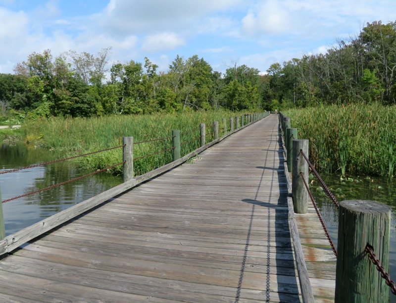 Wooden trail bridge