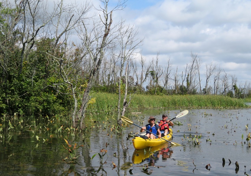 Beate and Gerhard on kayak with dead trees nearby