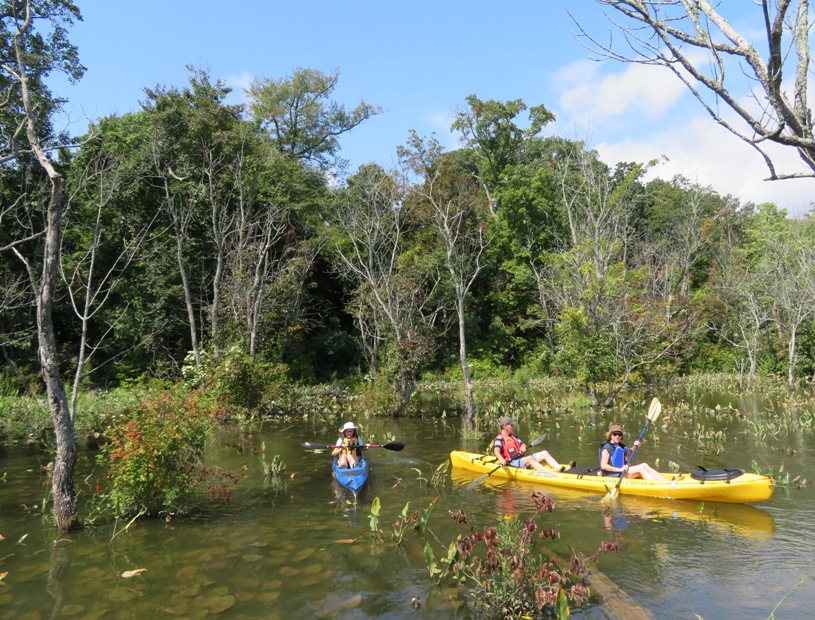 Trash-free natural area with Norma, Beate, and Gerhard on kayaks