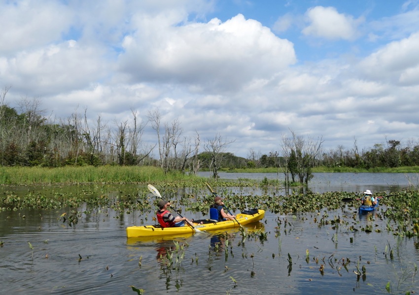 Trash-free area with Norma, Beate, and Gerhard on kayaks with dead trees in background