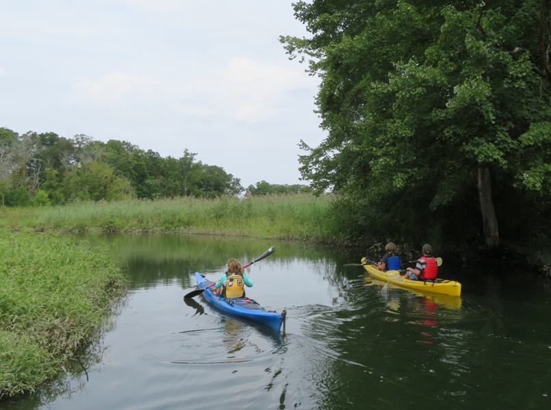 The backside of three kayakers