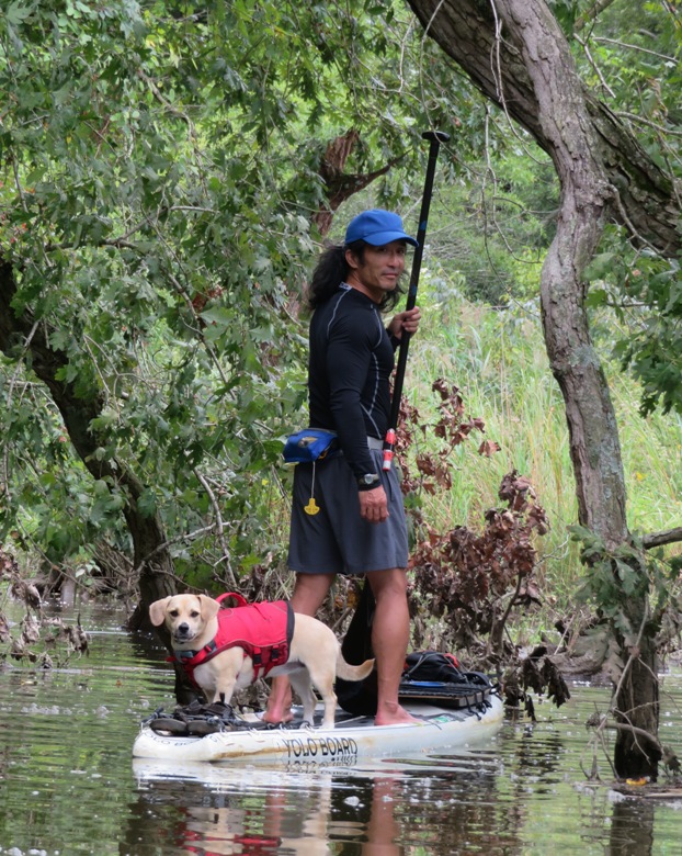 Daphne and I on the SUP by tree downfall