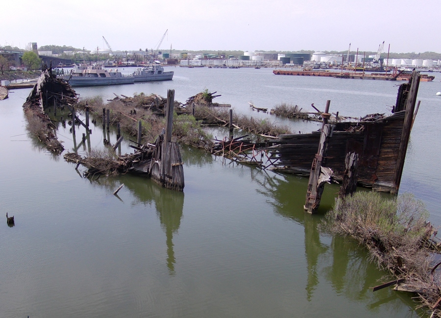 Small trees growing out of shipwrecks