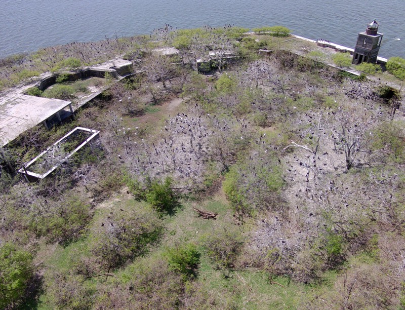 Drone view of trees inside the fort