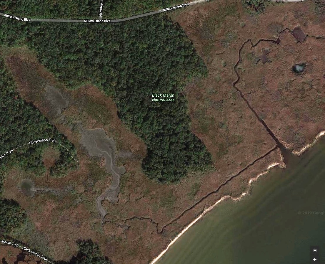 Satellite photo of Black Marsh