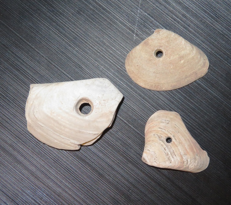 Three shell fragments with holes in them