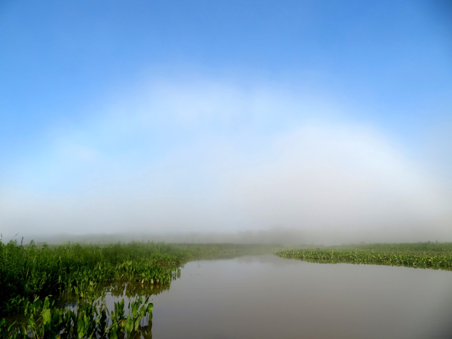 Fog bow over water