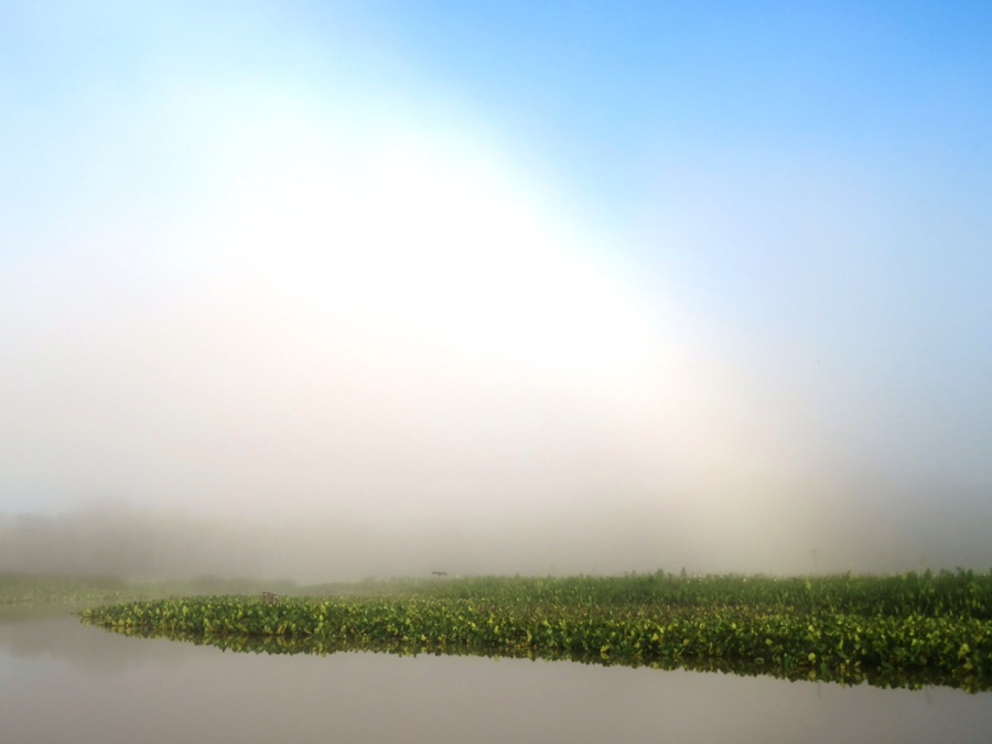 One end of the fog bow