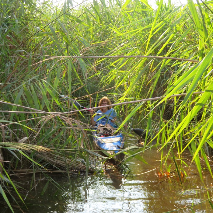 Norma kayaking in narrow waterway filled with bay grasses