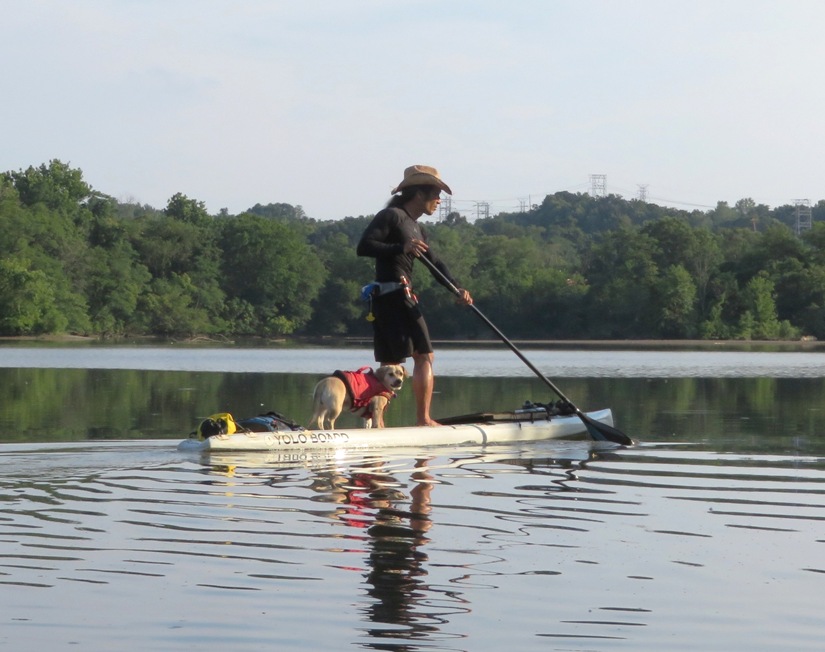 Me turning the SUP with Daphne looking at the camera