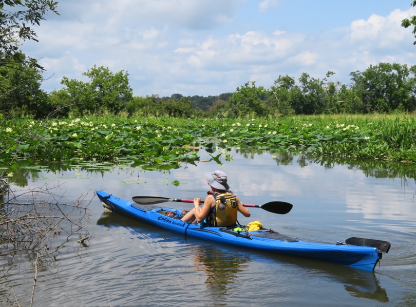Norma kayaking in Plum Point Cove