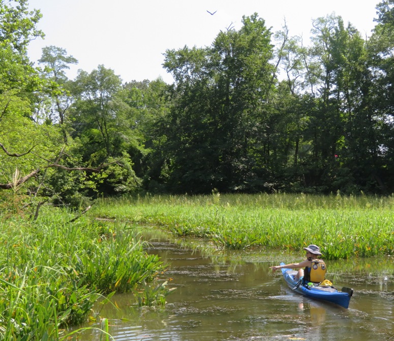 Norma on kayak in narrow part of creek pointing at something