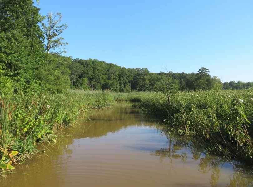 Narrow, pristine waterway