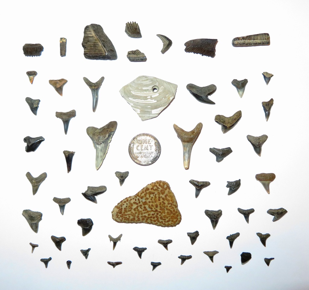 Stuff I found