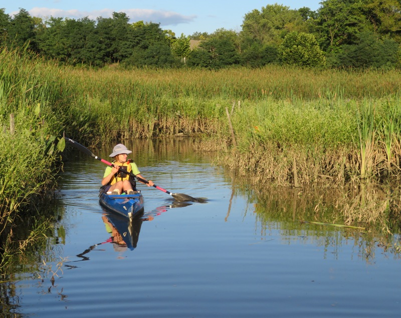 Norma kayaking in Bladensburg Wetlands