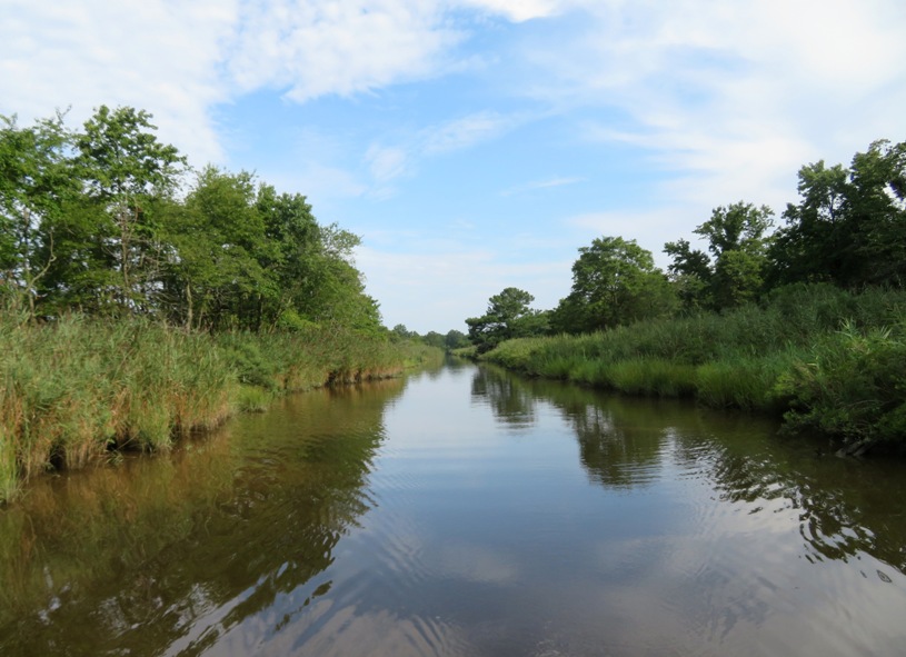 Narrow waterway lined with grasses and trees