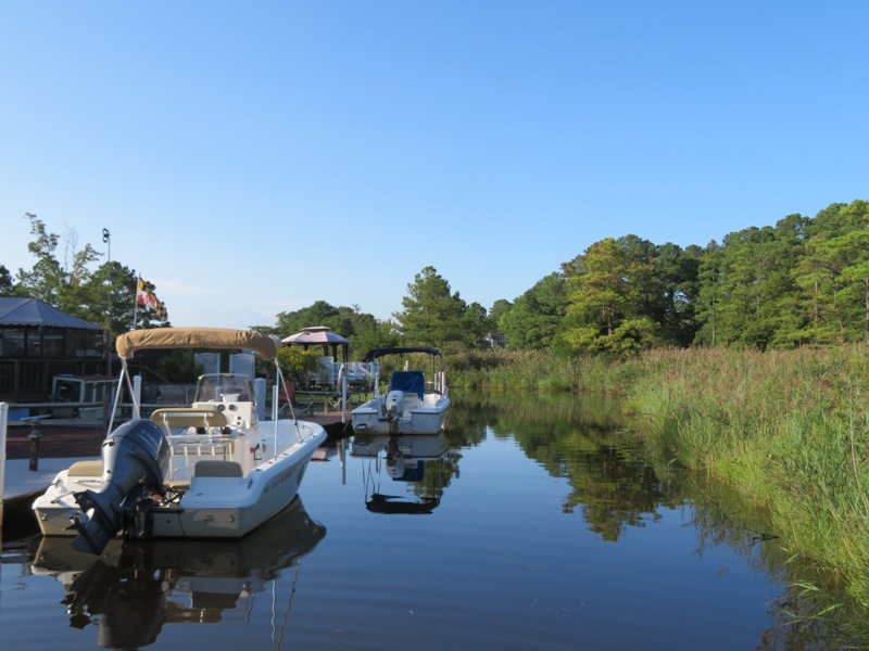 Powerboat, narrow waterway, and natural greenery