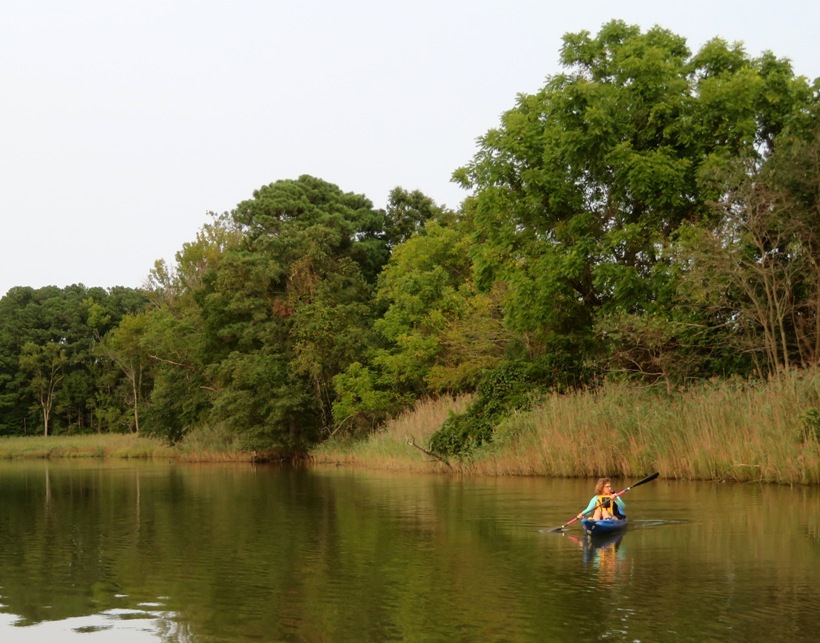 Norma kayaking with wooded area behind