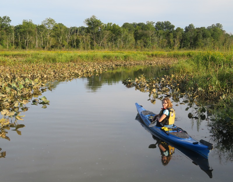 Norma on kayak with spatterdock at the edges